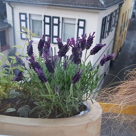 Haus Alfina Villa Ngoại thất bức ảnh