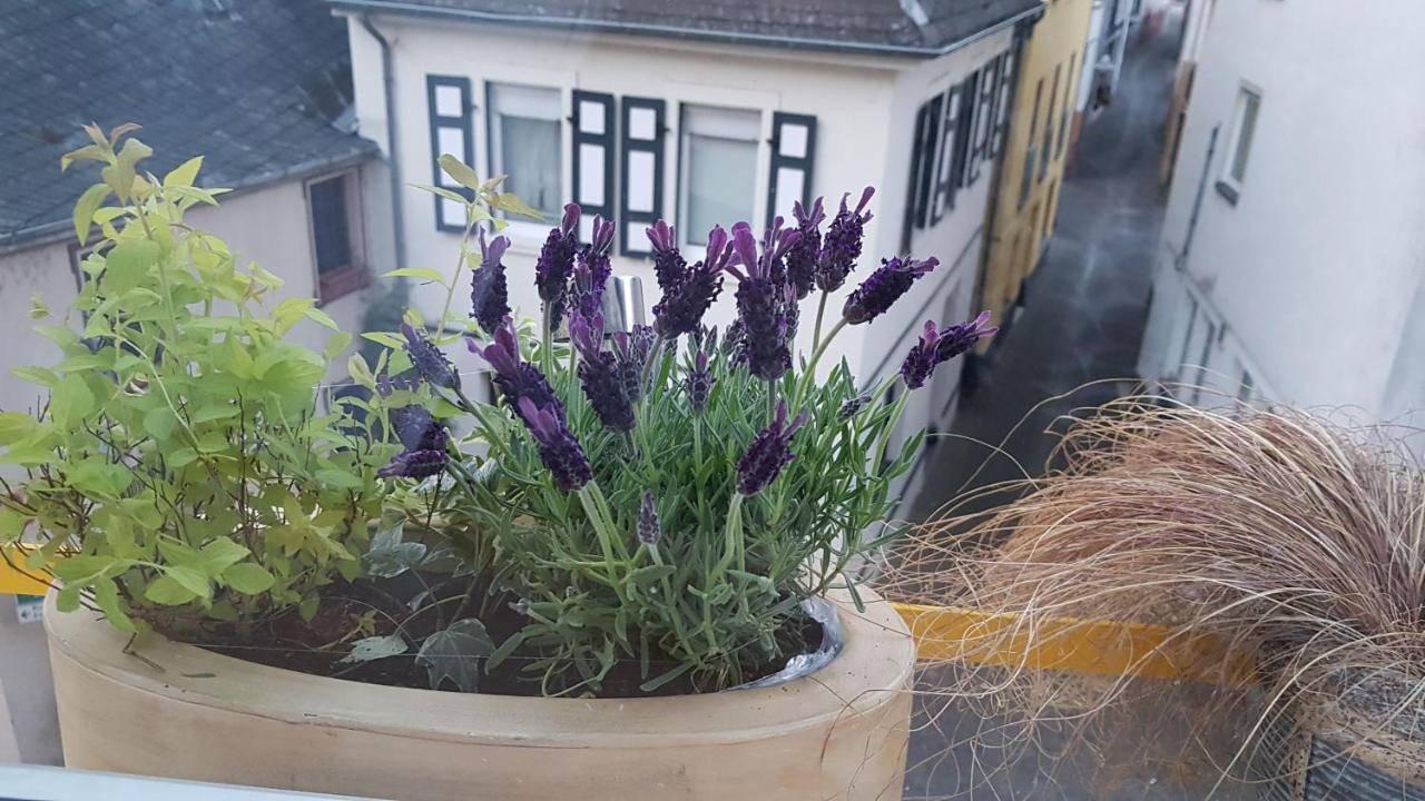 Haus Alfina Villa Ngoại thất bức ảnh